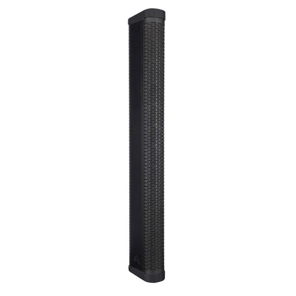 AXIOM AX12LF 12 x 3,5 (88mm), leistungsstarkes, passives, tragbares Line-Array-Element