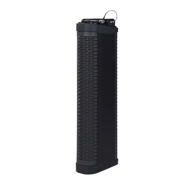 AXIOM - AX6C - Passives Line-Array-Säulenelement