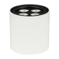 Sagitter White Cover Nomad NANO